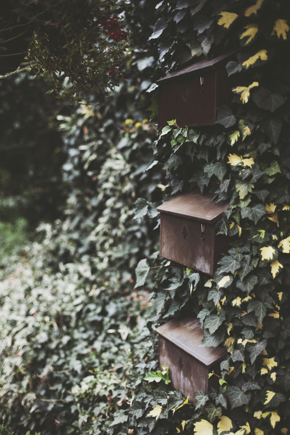 ivy mailboxes