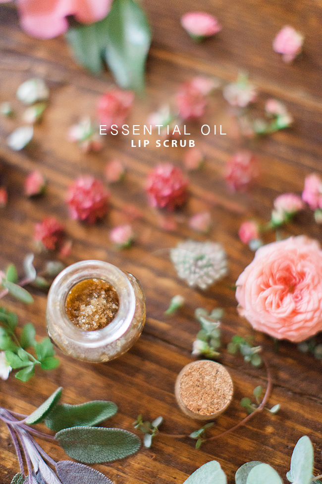 Essential Oil Lip Scrub | In Honor of Design | Haley Sheffield Photography www.inhonorofdesign.com