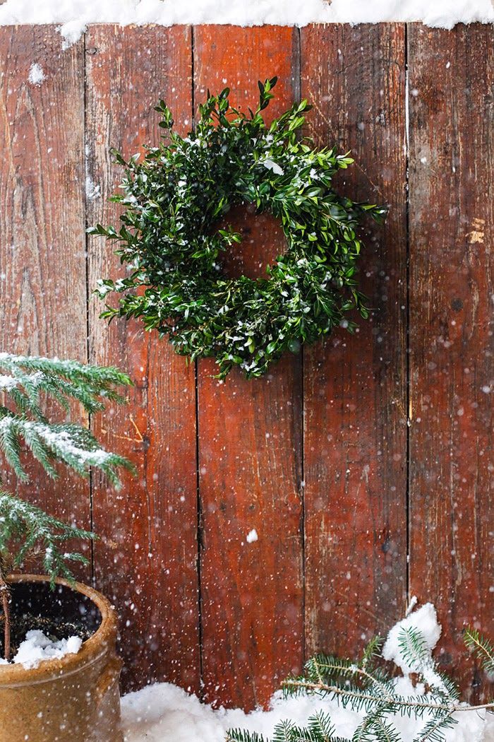 DIY Boxwood Wreath via Poppytalk