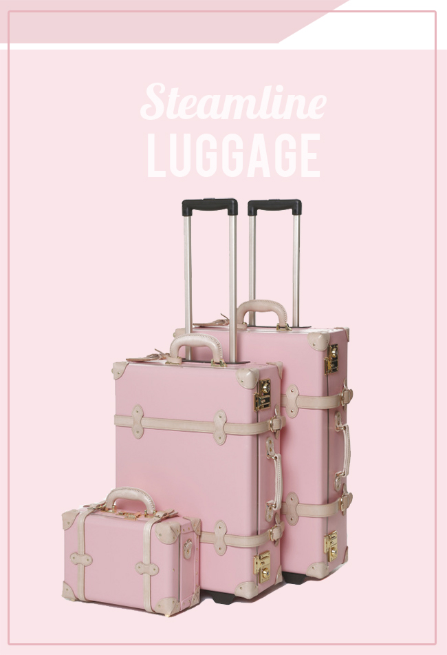 Steamline luggage cheap