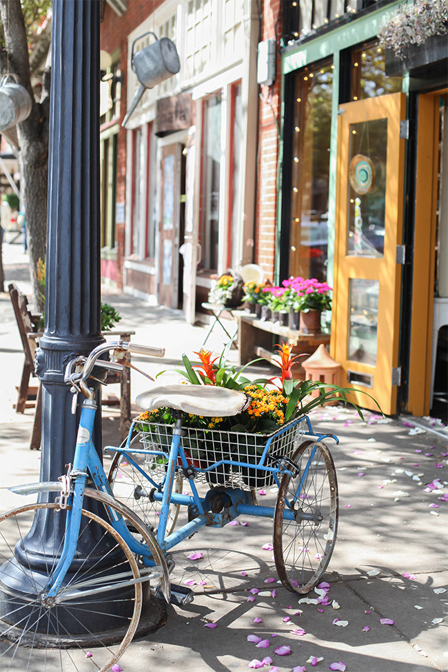 bike and basket