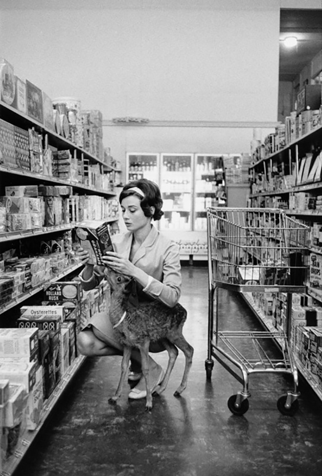 Audrey and her Fawn
