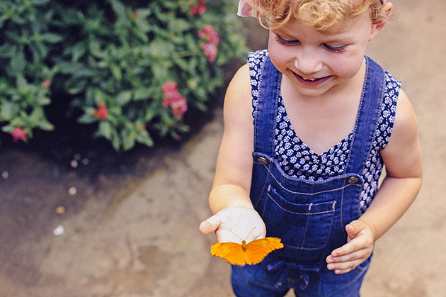 Catching butterflies