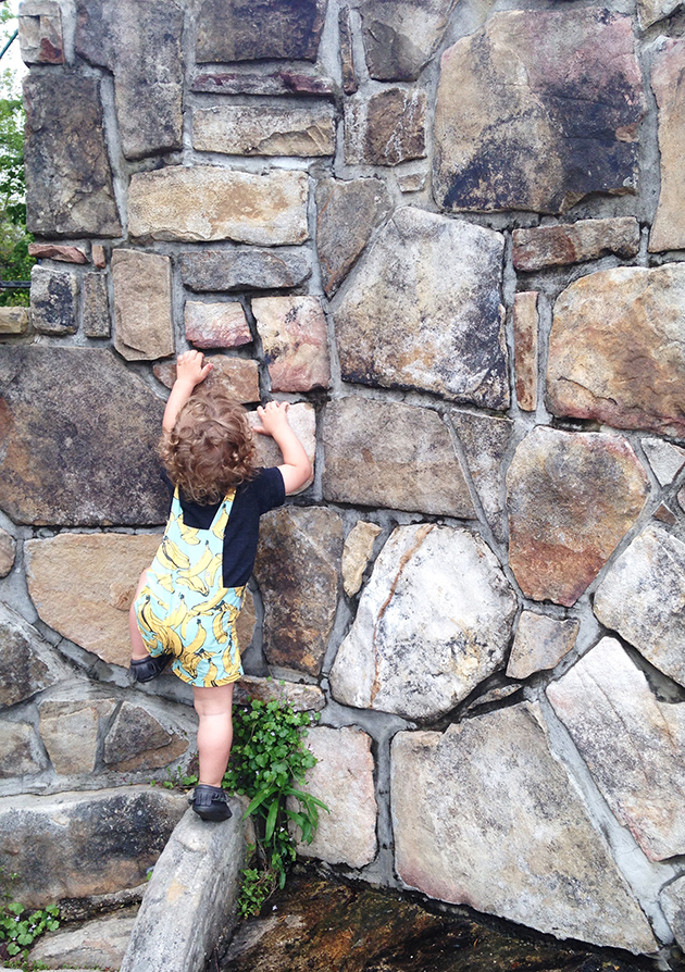 Little Rock Climber