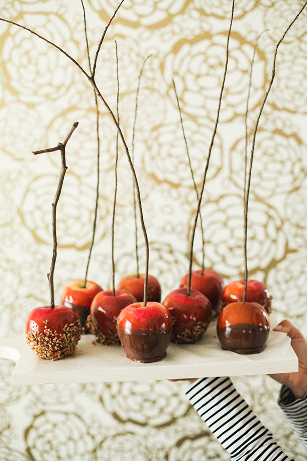 Chocolate caramel apples