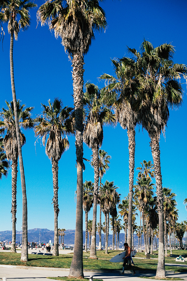 Venice Beach