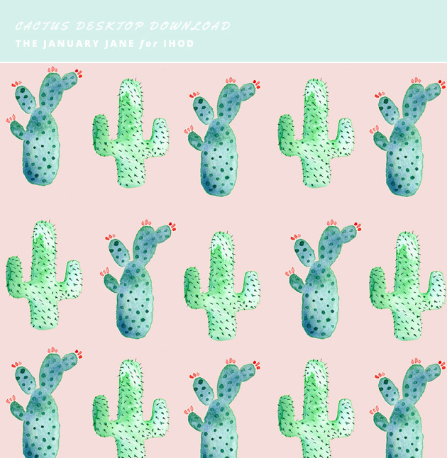 cactus dekstop download