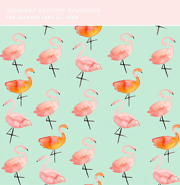 flamingo backdrop