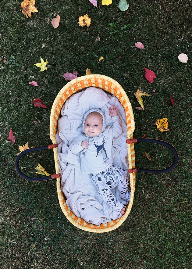 baby-basket