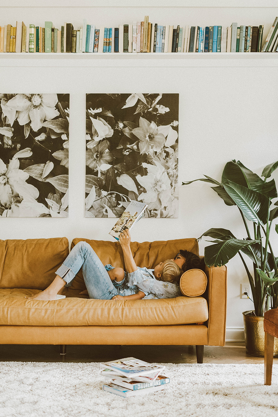 Bookshelf above store sofa