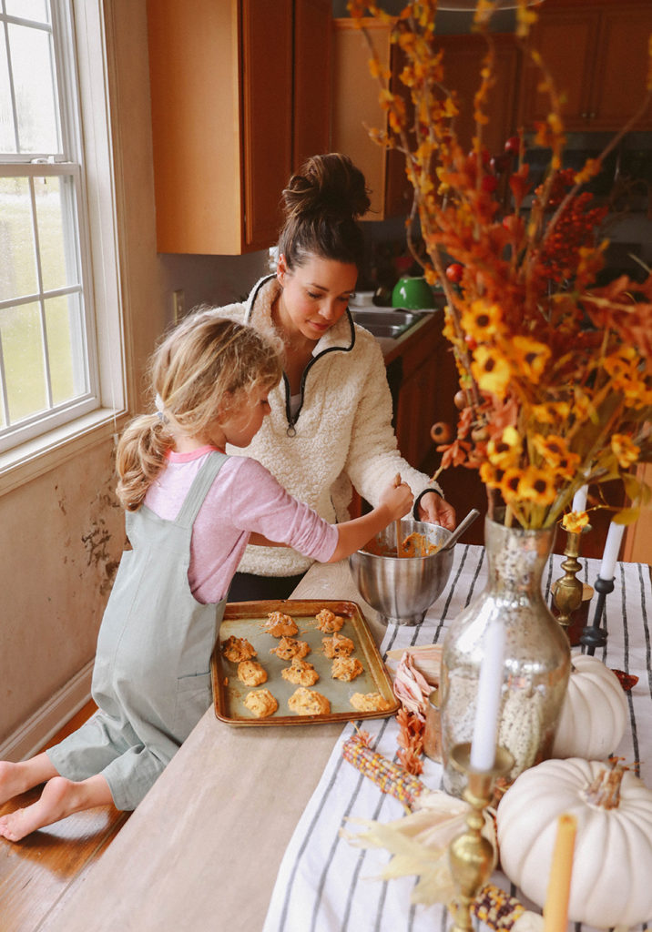 Pumpkin chocolate chip recipe