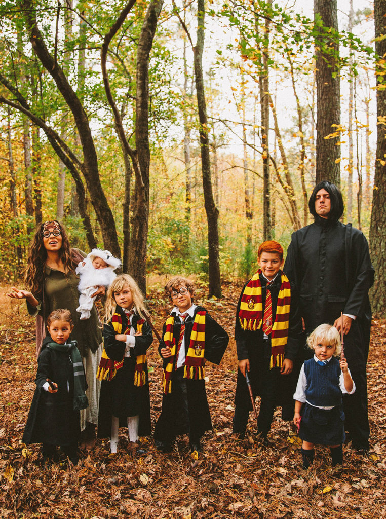 harry potters family