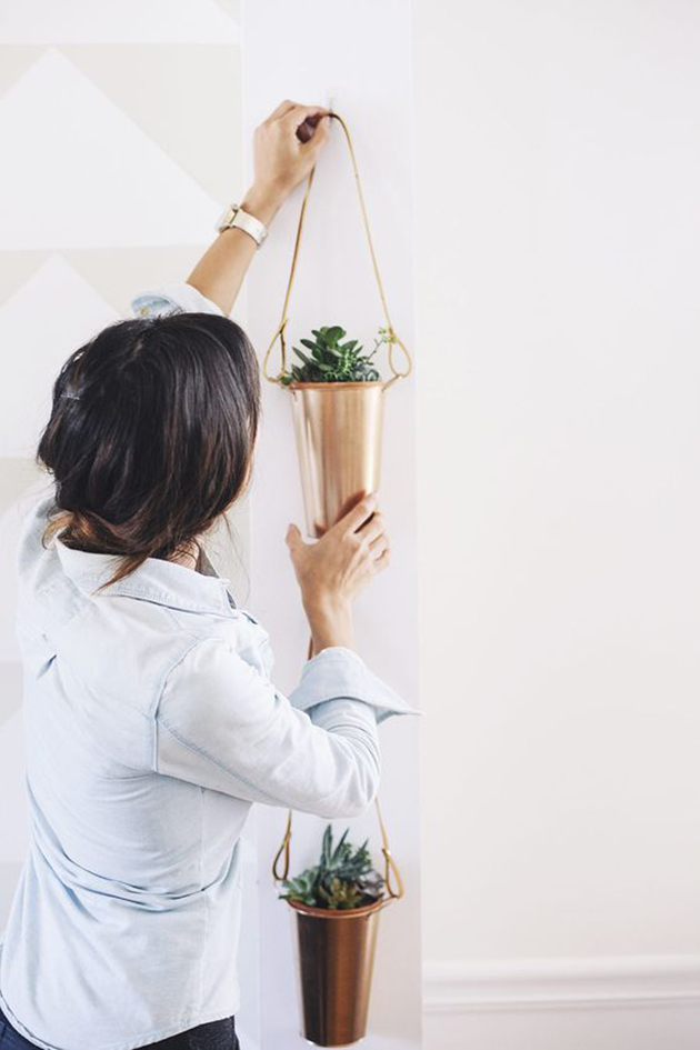 DIY hanging plants 