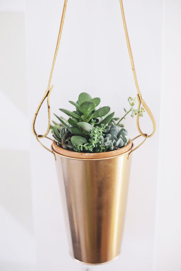 DIY succulent hanging pots