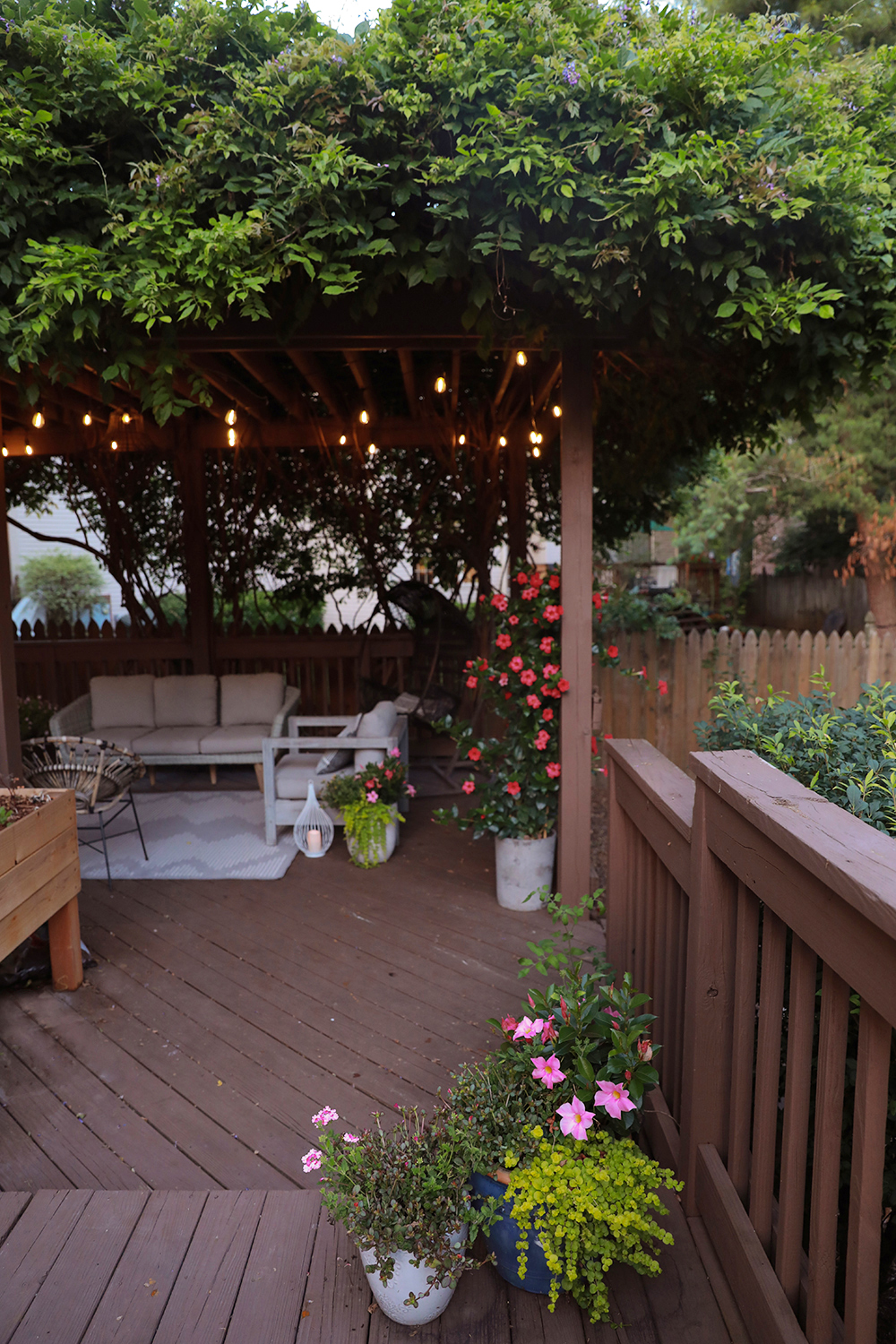 wisteria vine over pergola - patio design