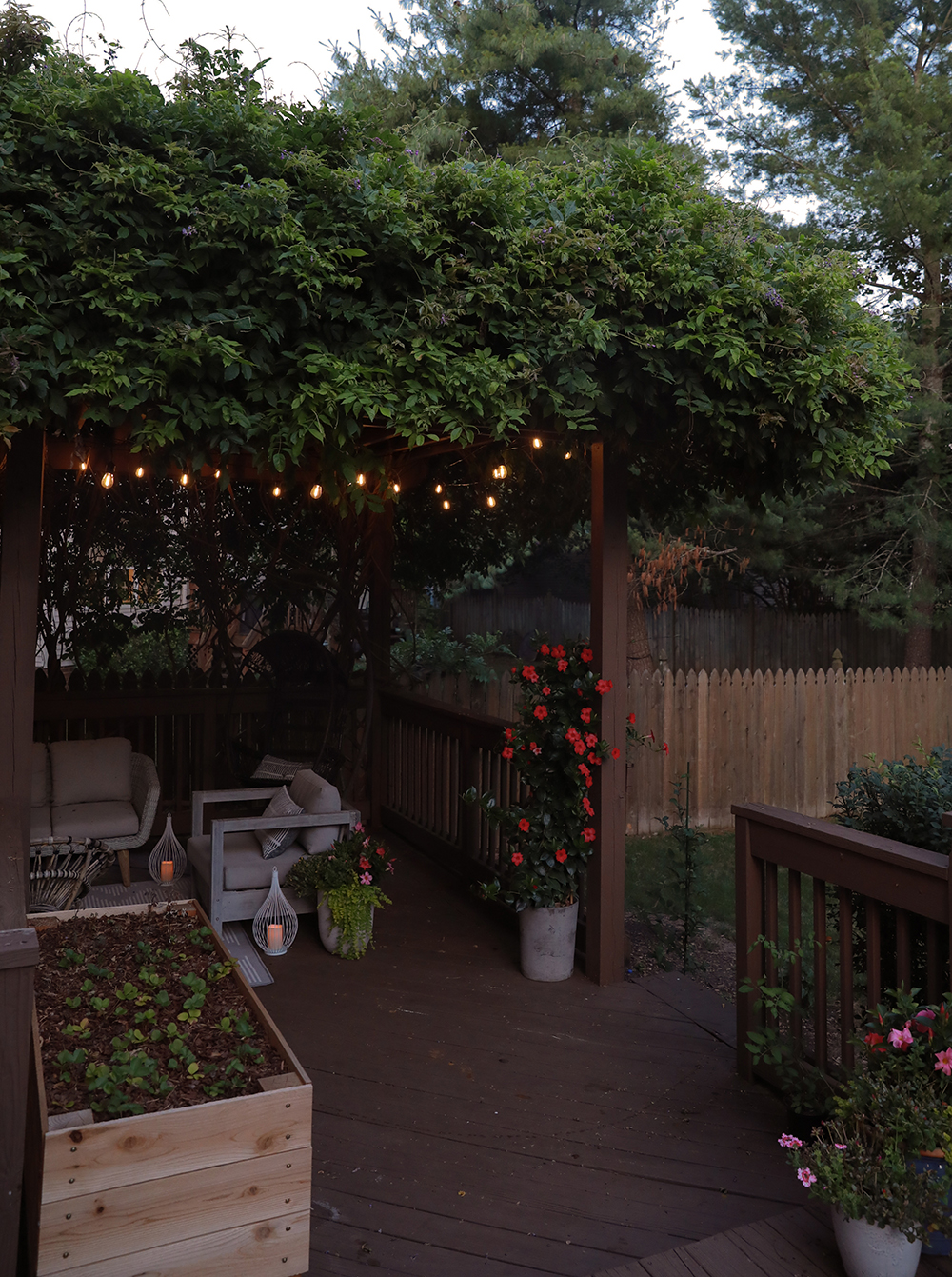 wisteria vine over pergola patio design