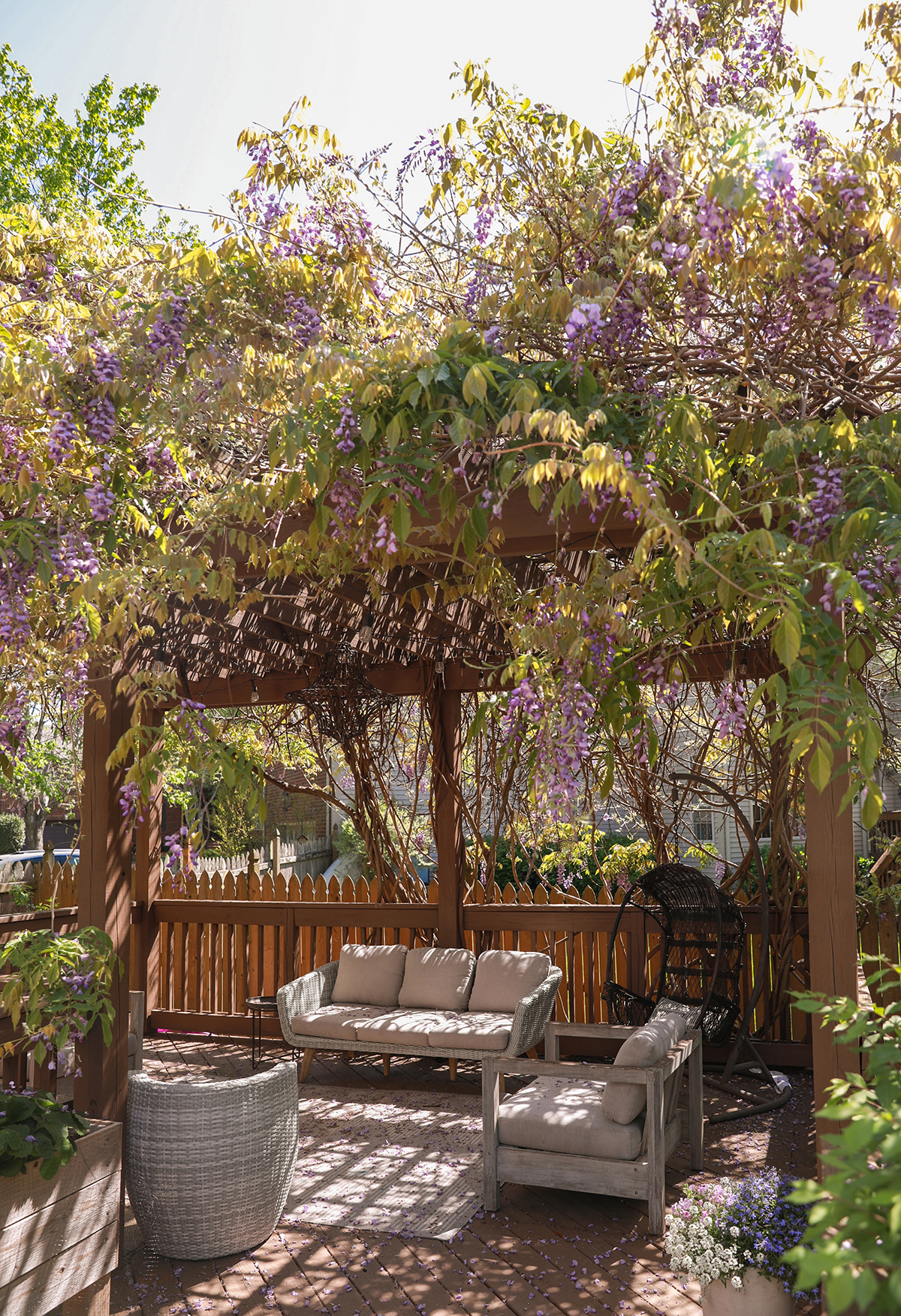 patio furniture wisteria vine