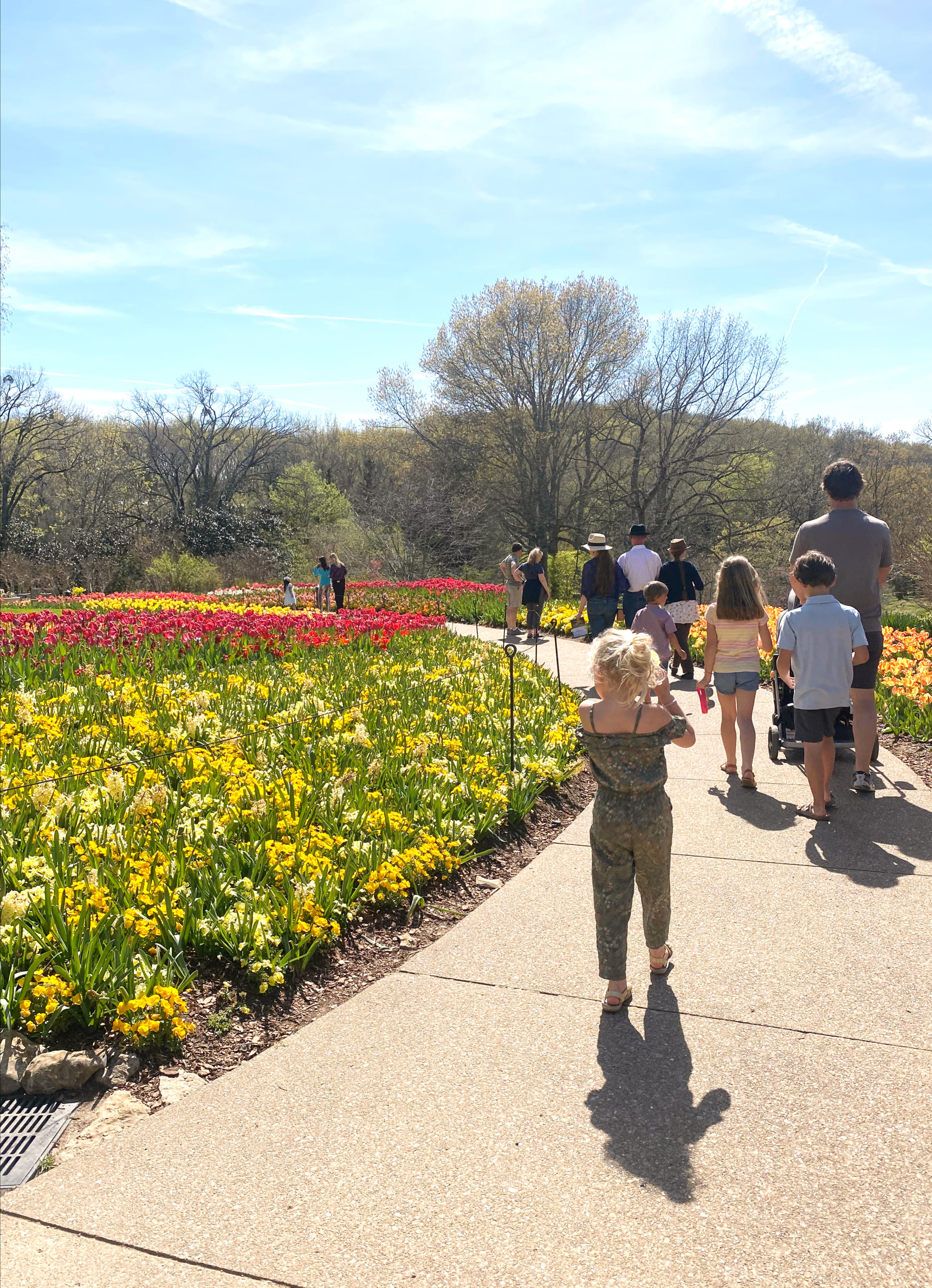 cheekwood in bloom - nashville