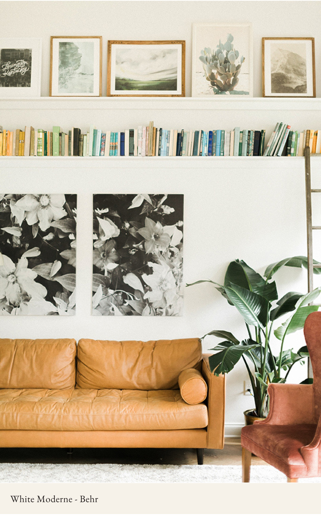 best paint brands for interiors - living room bookshelves