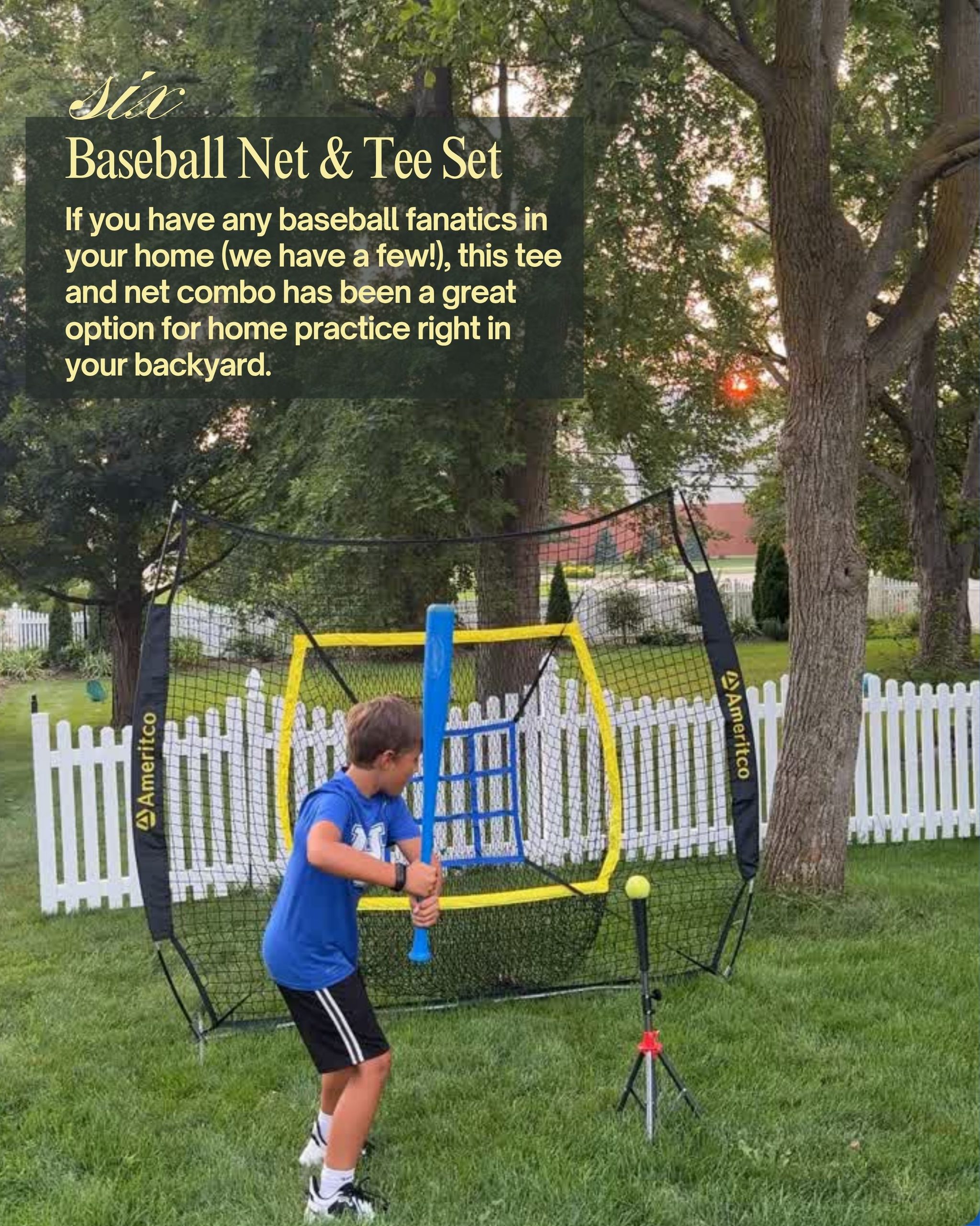 baseball net and tee set